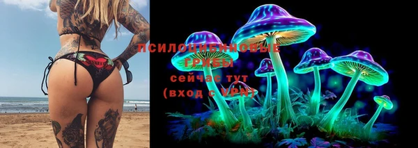 шишки Балабаново