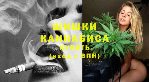 дживик Баксан