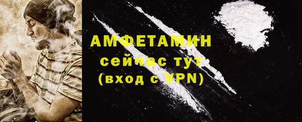 индика Переславль-Залесский