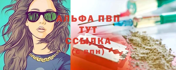 дживик Баксан