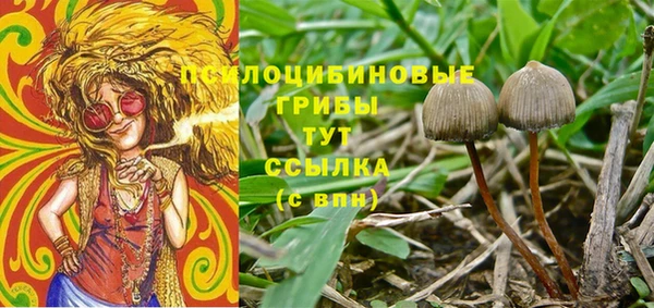 шишки Балабаново