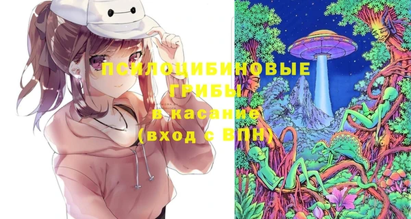 ешки Пересвет