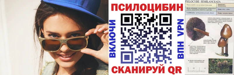 Галлюциногенные грибы Psilocybine cubensis  купить наркотик  Соликамск 